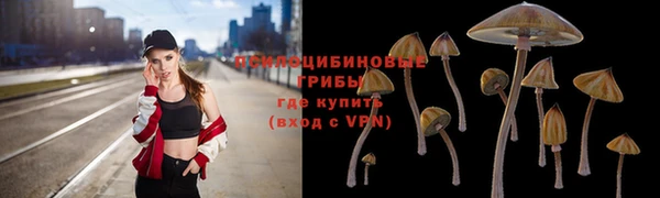 винт Алексеевка