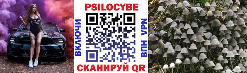 где купить наркоту  Жирновск  Псилоцибиновые грибы мицелий 